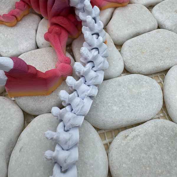 Skelett Raptor mit Grimasse – Mit kleinem Makel