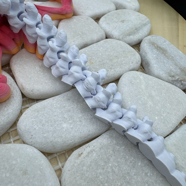 Skelett Raptor mit Grimasse – Mit kleinem Makel