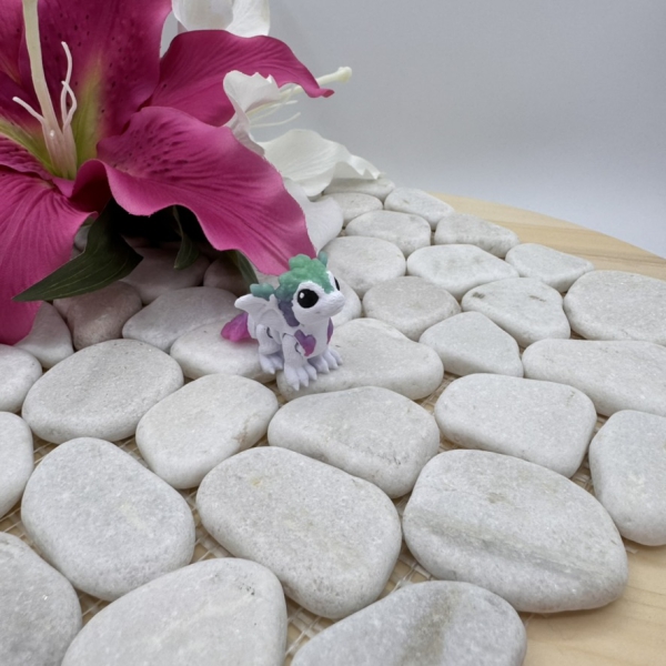 Hatchling Federn Drache – Magischer Hüter der Nacht