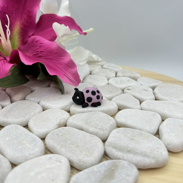 Hatchling Marienkäfer mit Magnet – Süßer Glücksbringer für deinen Kühlschrank