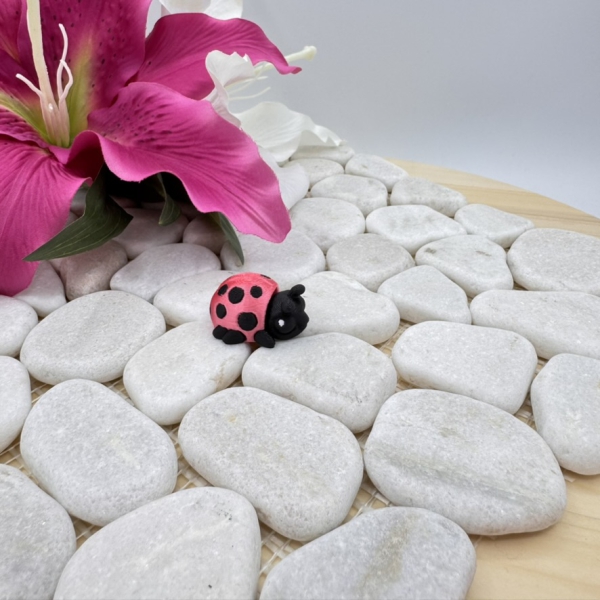 Hatchling Marienkäfer – Kleiner Glücksbringer der Fantasiewelt