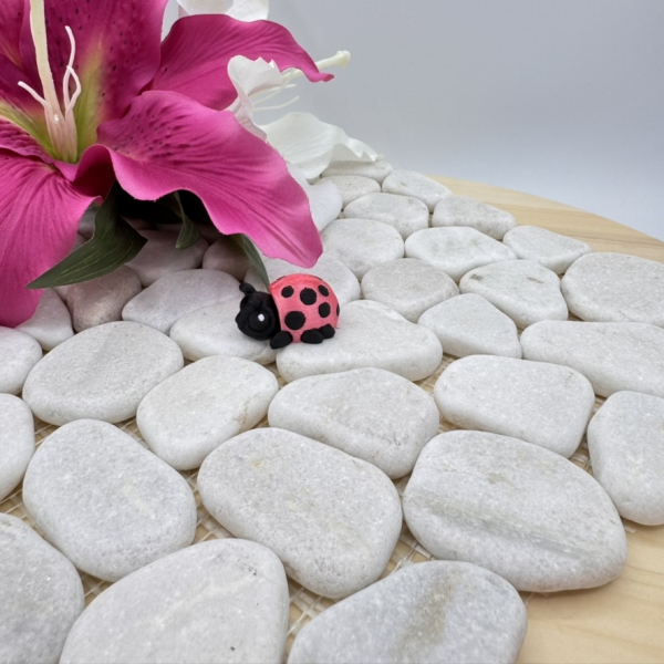 Hatchling Marienkäfer – Kleiner Glücksbringer der Fantasiewelt