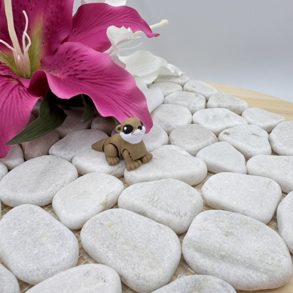 Hatchling Otter – Niedlicher kleiner Flussbewohner