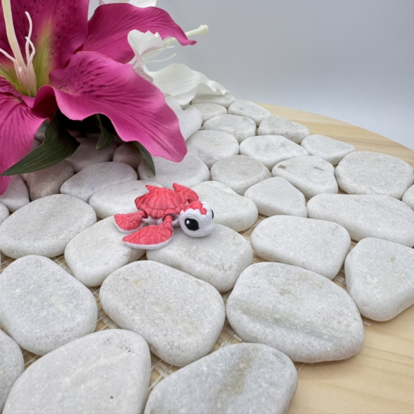 Hatchling Schildkröte – Kleine Meeresschönheit im Mini-Format