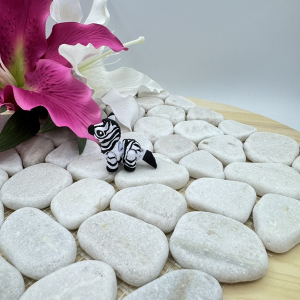 Hatchling Zebra – Kleiner Streifenheld der Savanne