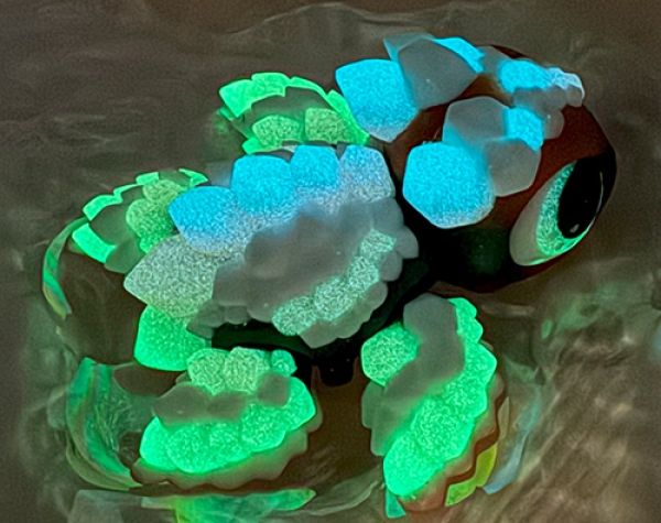 Krsitallschildkröte Regenbogen Nachtleuchtend