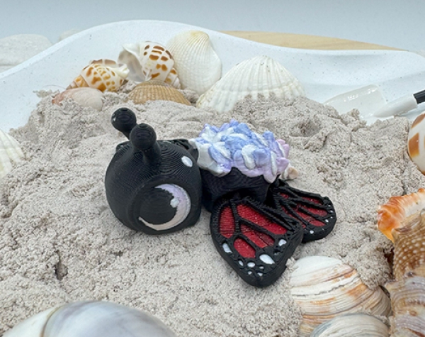 Schmetterlings-Schildkröte Mini