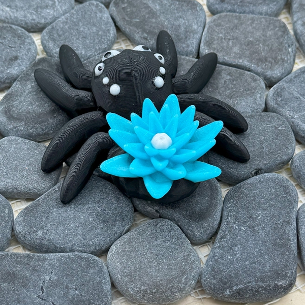 Lilien-Spinne – Eleganz & Natur