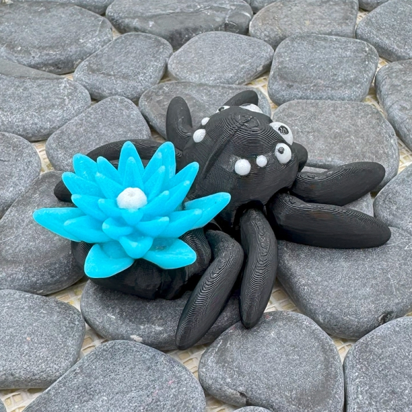 Lilien-Spinne – Eleganz & Natur