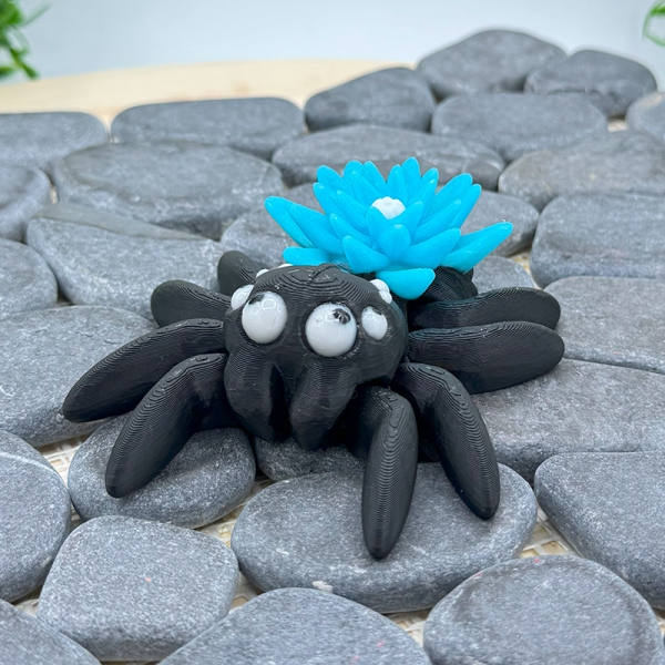 Lilien-Spinne – Eleganz & Natur