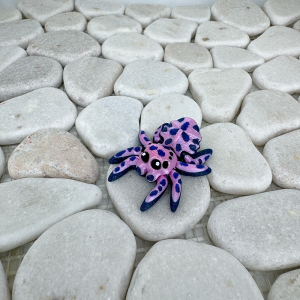 Mini Flecken‑Spinne – Farbenfroh, verspielt und absolut einzigartig