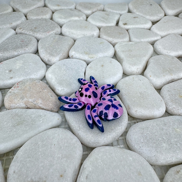 Mini Flecken‑Spinne – Farbenfroh, verspielt und absolut einzigartig