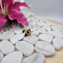 Hatchling Biene – Niedlich, detailreich und einfach zum Verlieben