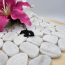 Hatchling Orca – Kleiner Hüter der Meere