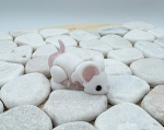 Baby Maus Weiß