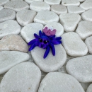 Mini Orchideenspinne – Anmut in Bewegung