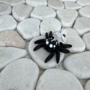 Mini Totenkopf-Spinne – Geheimnisvoll, beweglich und mit Charakter